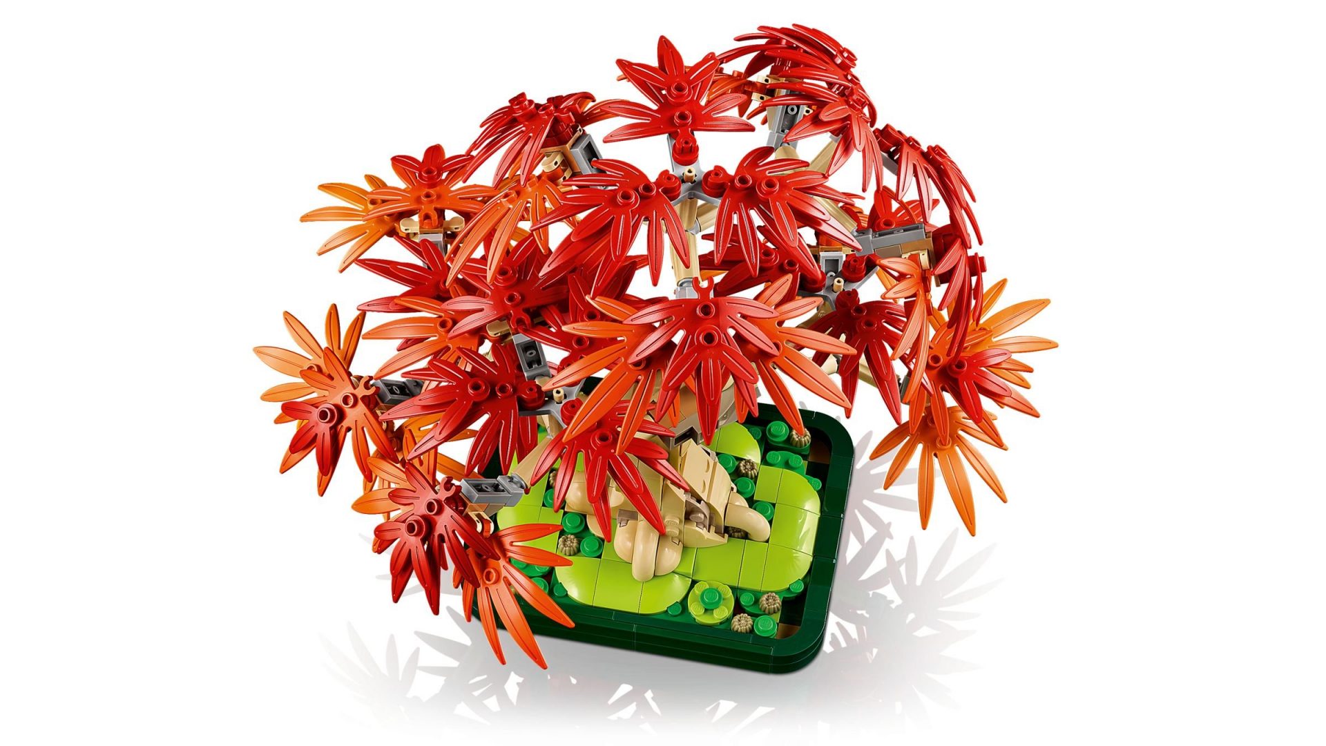 LEGO 10348 Japanischer Roter Ahorn – Bonsai-Baum – Bild 3