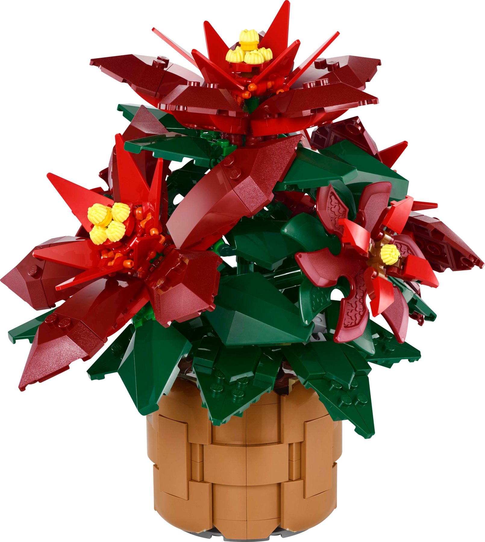 LEGO 10370 Weihnachtsstern – Bild 2