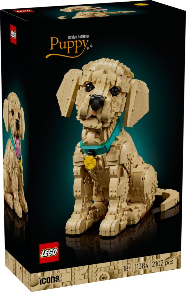 LEGO 11384 Golden Retriever Welpe