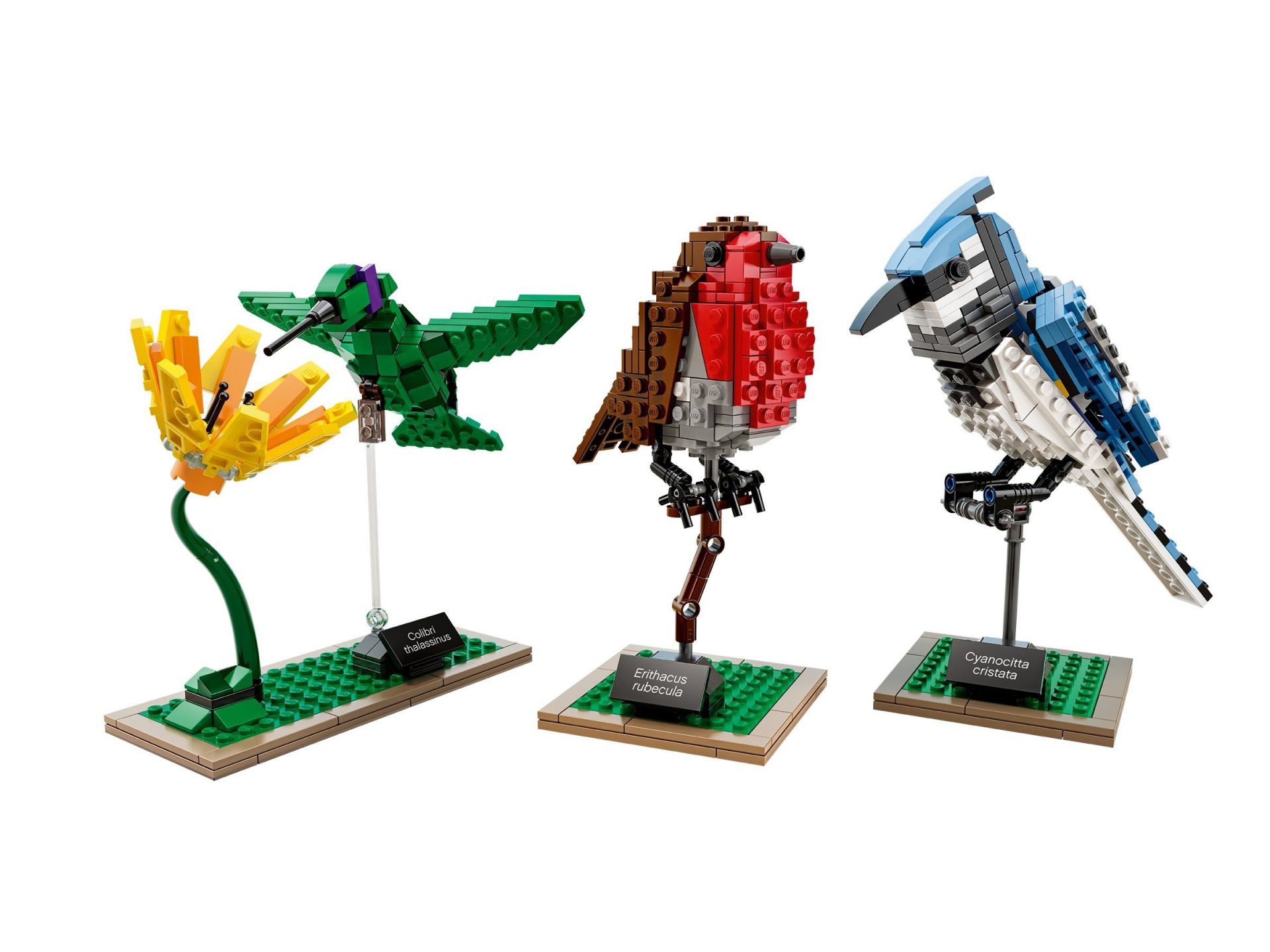 Lego 21301 Wildvögel legamo