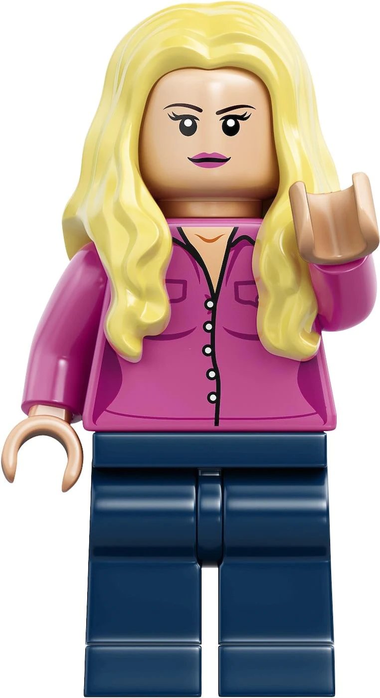 Lego 21302 The Big Bang Theory