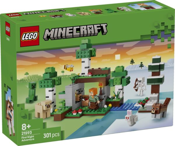 LEGO 21593 Erstes Abenteuer in der Nacht