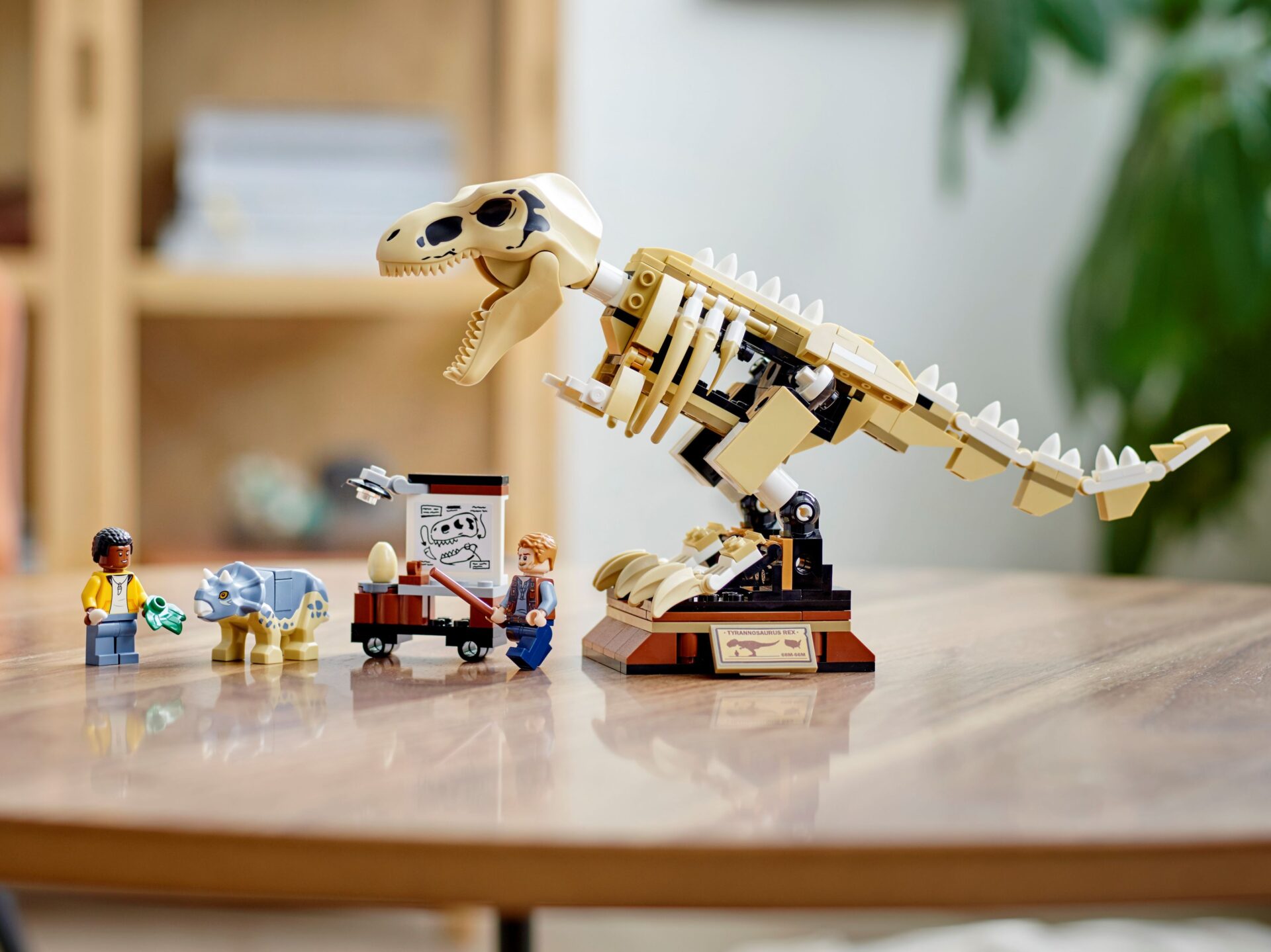 LEGO 76940 T. Rex-Skelett in der Fossilienausstellung – Bild 10