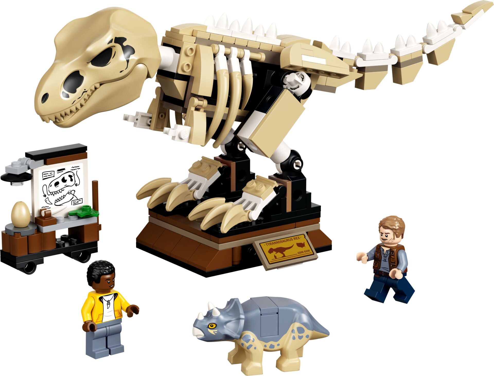 LEGO 76940 T. Rex-Skelett in der Fossilienausstellung – Bild 2