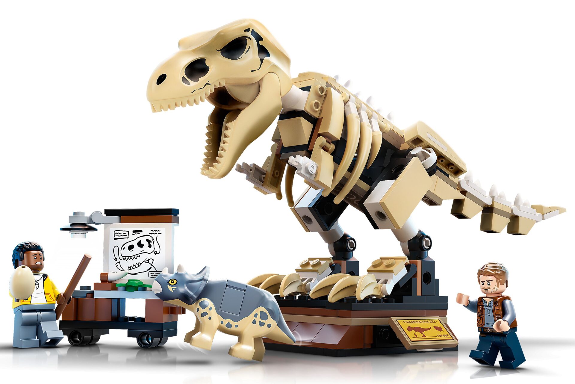 LEGO 76940 T. Rex-Skelett in der Fossilienausstellung – Bild 3