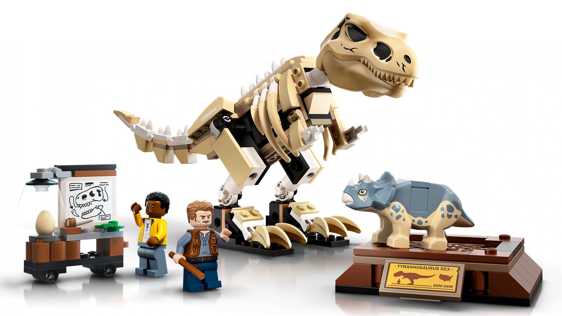 LEGO 76940 T. Rex-Skelett in der Fossilienausstellung – Bild 4