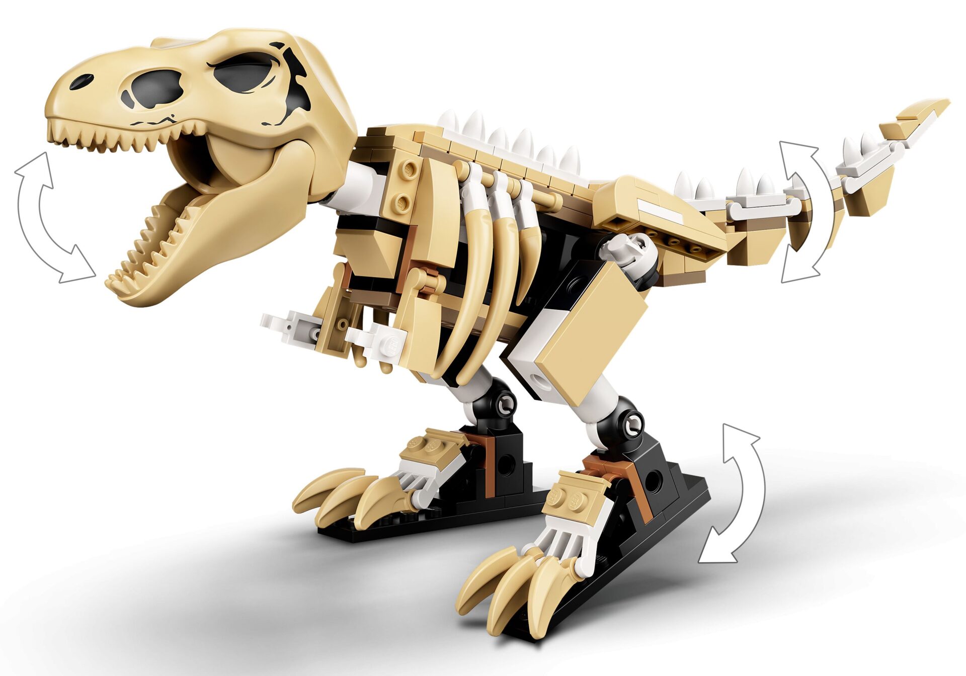LEGO 76940 T. Rex-Skelett in der Fossilienausstellung – Bild 5