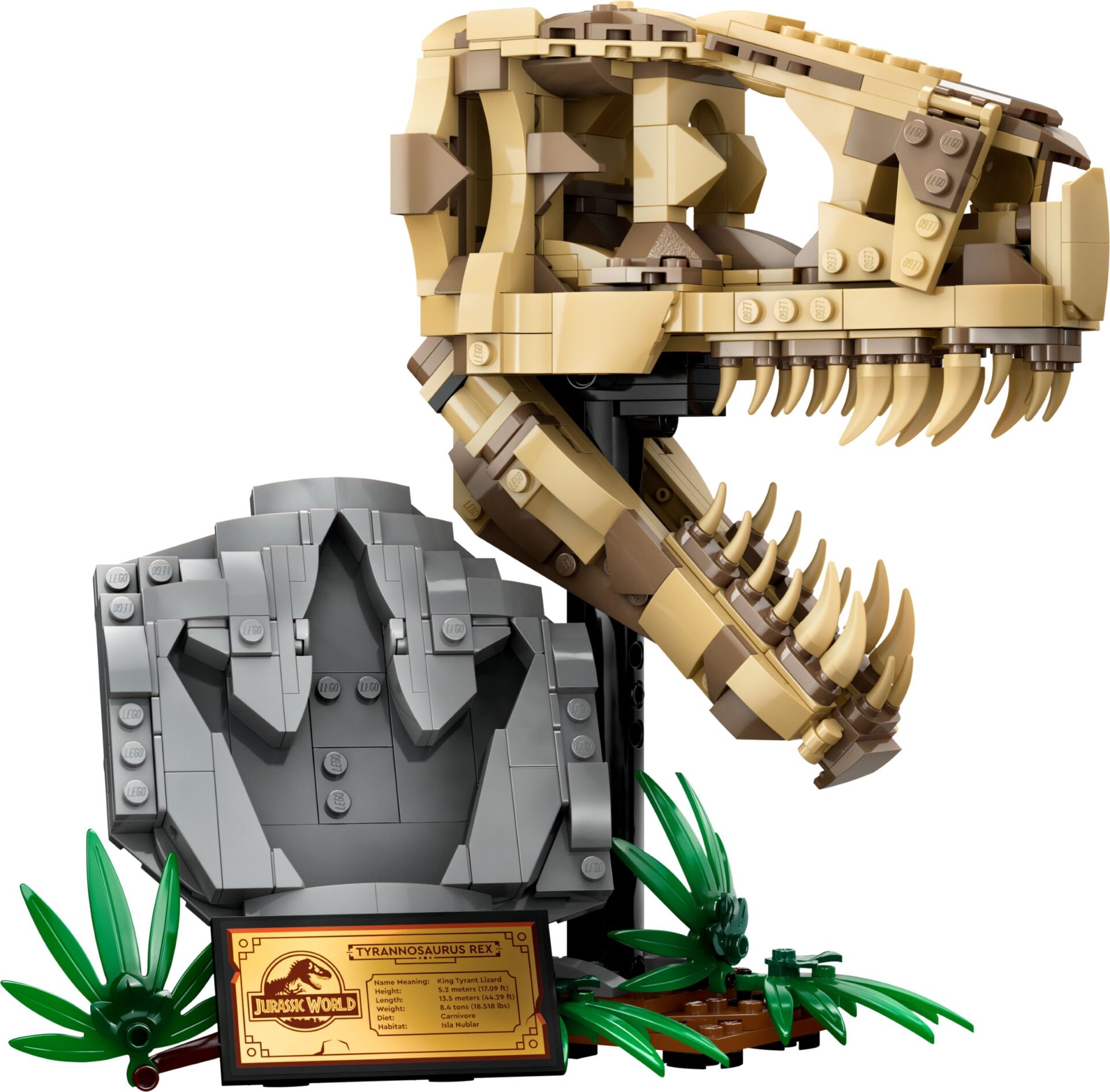LEGO 76964 Dinosaurier-Fossilien: T.-rex-Kopf – Bild 2