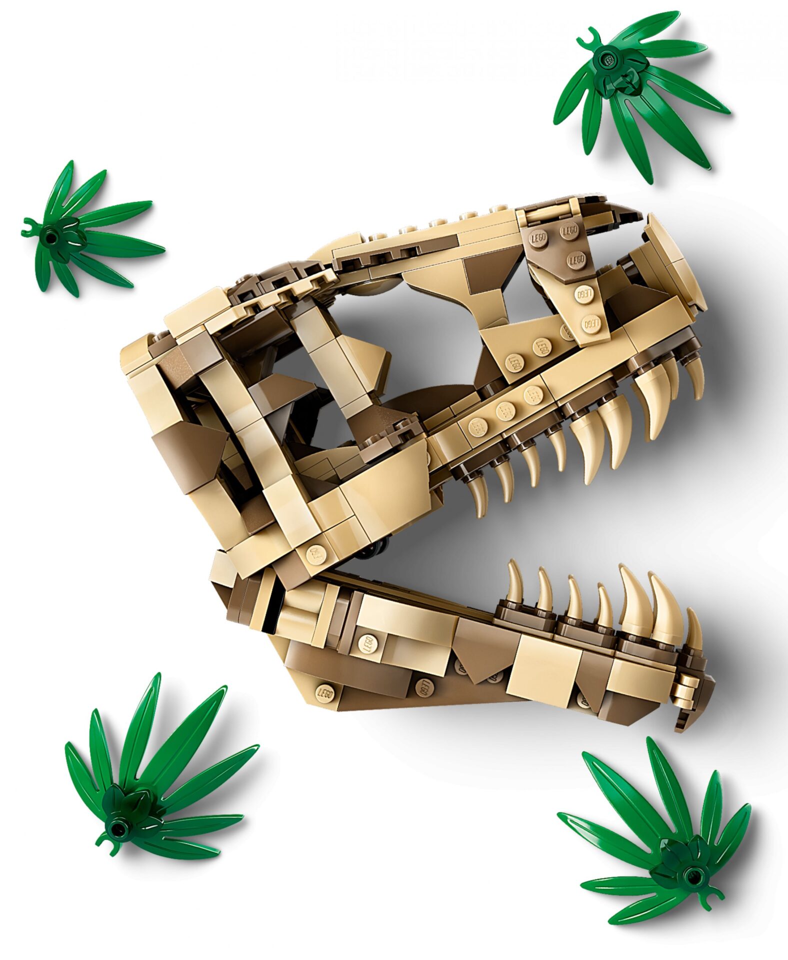 LEGO 76964 Dinosaurier-Fossilien: T.-rex-Kopf – Bild 3