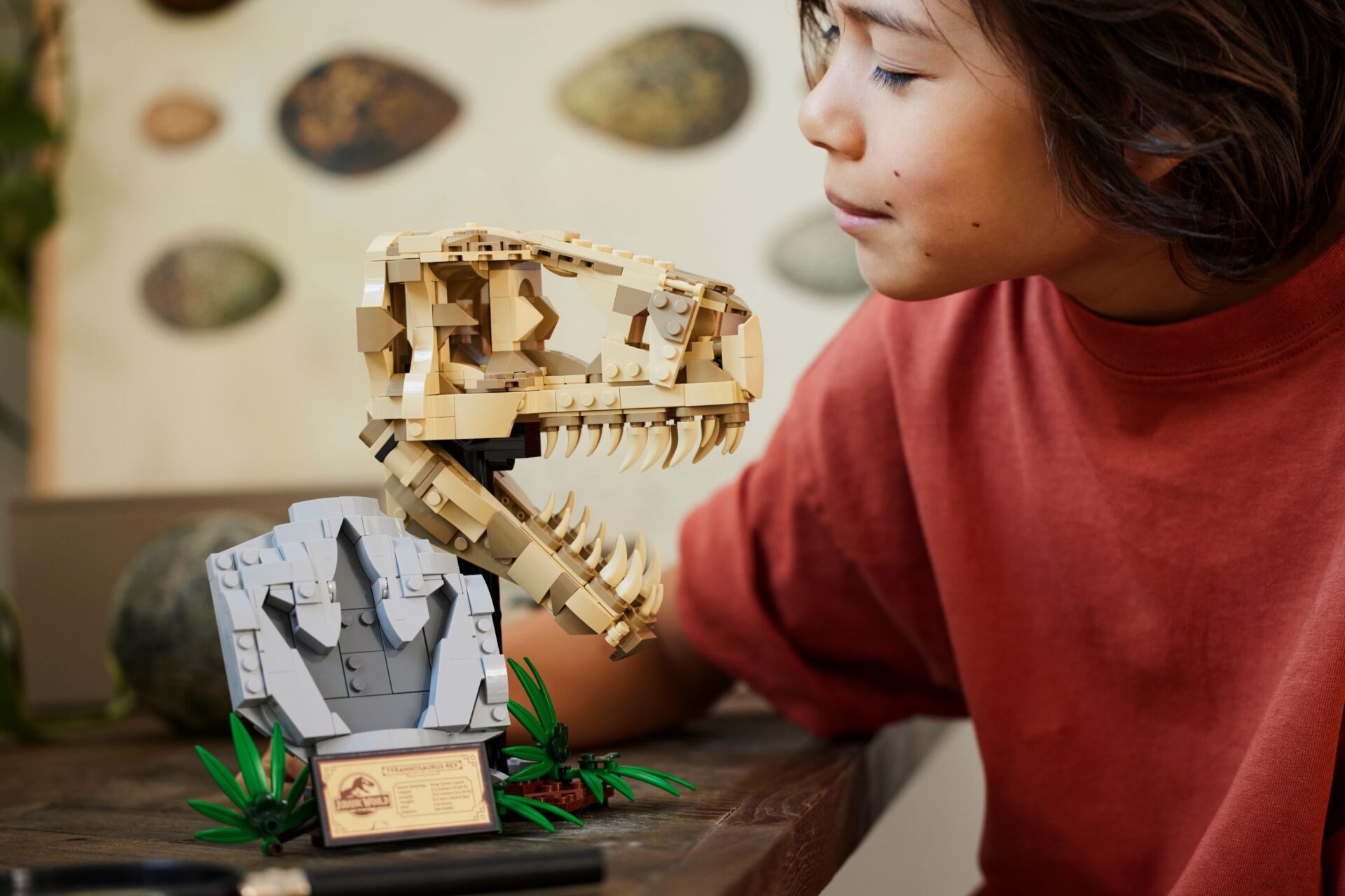 LEGO 76964 Dinosaurier-Fossilien: T.-rex-Kopf – Bild 5