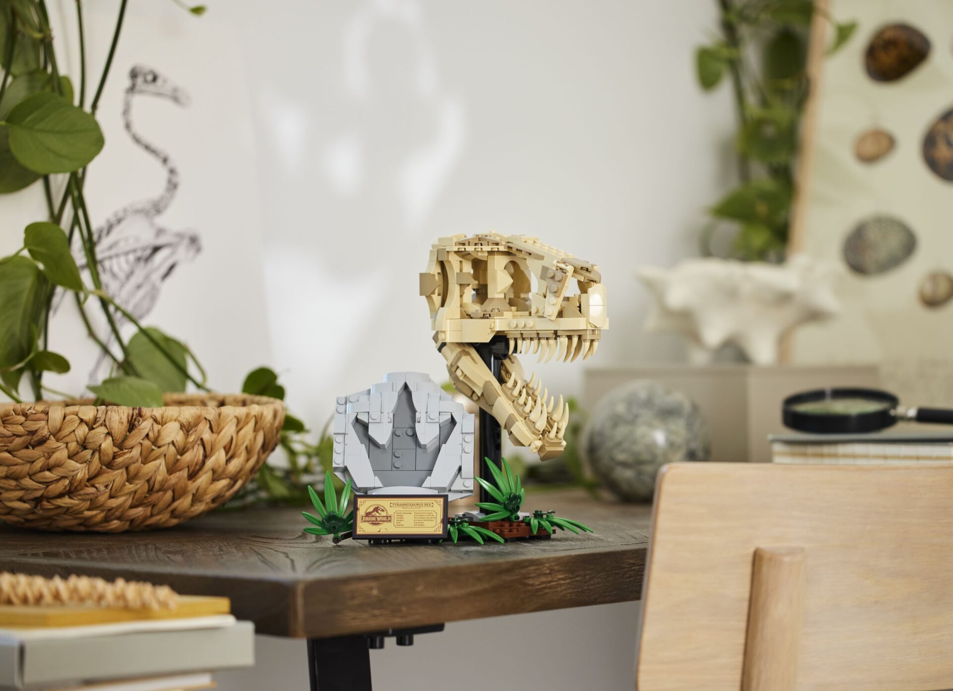 LEGO 76964 Dinosaurier-Fossilien: T.-rex-Kopf – Bild 6