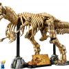 LEGO 76968 Dinosaurier-Fossilien: Tyrannosaurus rex – Bild 3