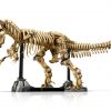 LEGO 76968 Dinosaurier-Fossilien: Tyrannosaurus rex – Bild 10