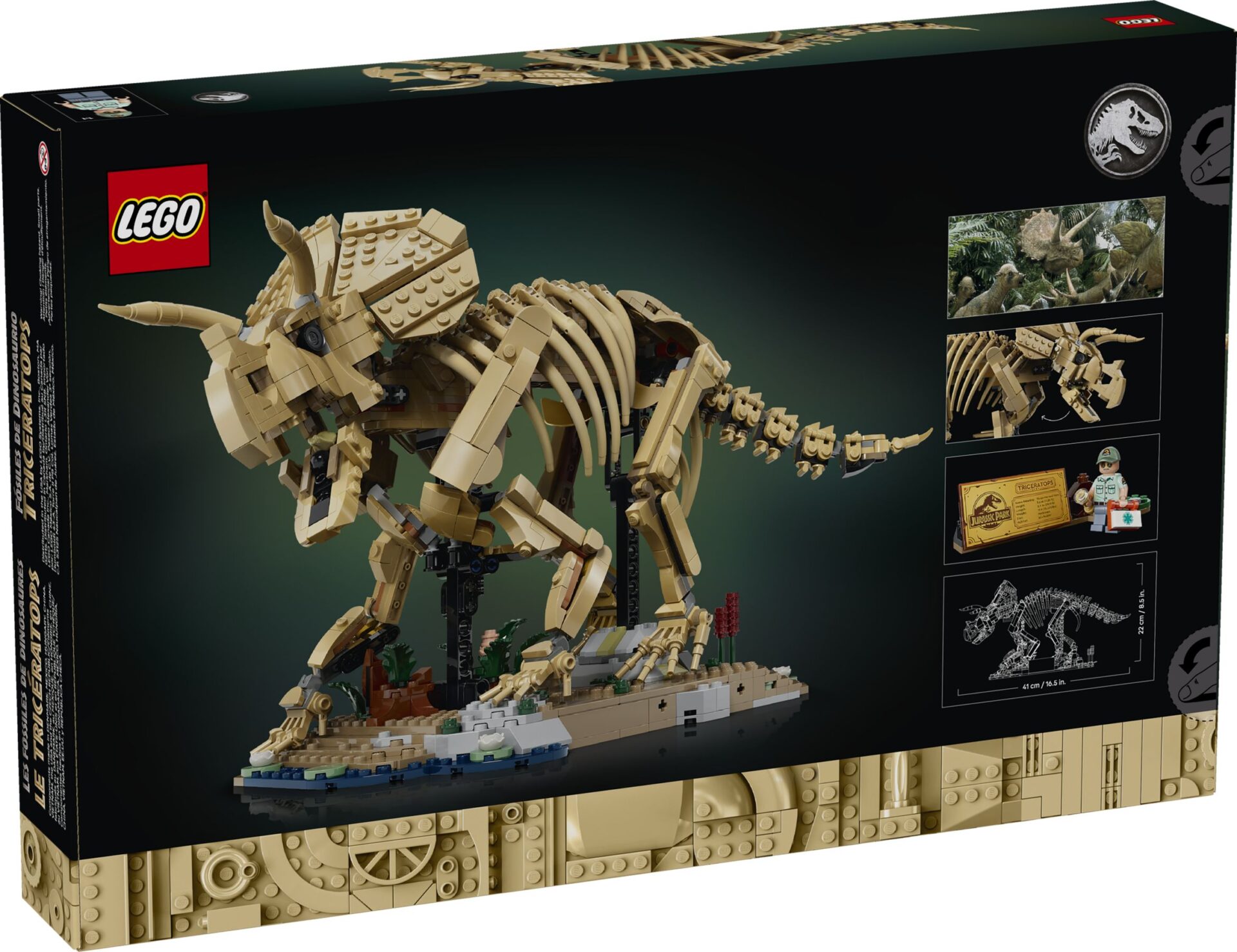 LEGO 77985 Dinosaurier-Fossilien: Triceratops – Bild 11