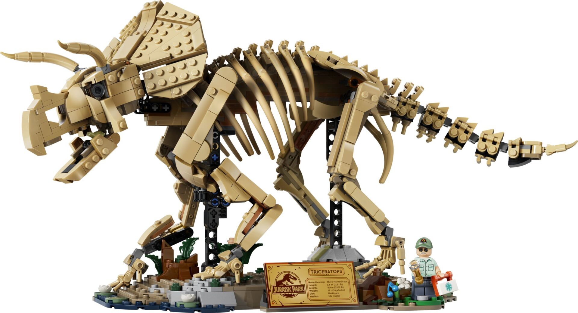 LEGO 77985 Dinosaurier-Fossilien: Triceratops – Bild 2