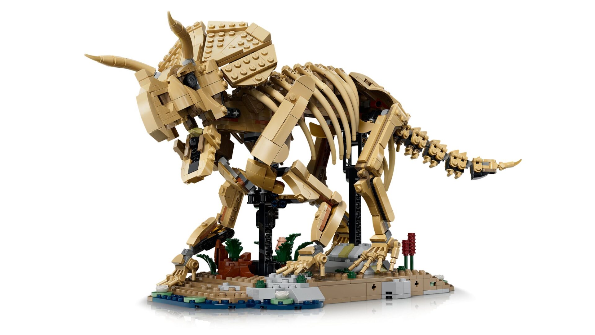 LEGO 77985 Dinosaurier-Fossilien: Triceratops – Bild 3
