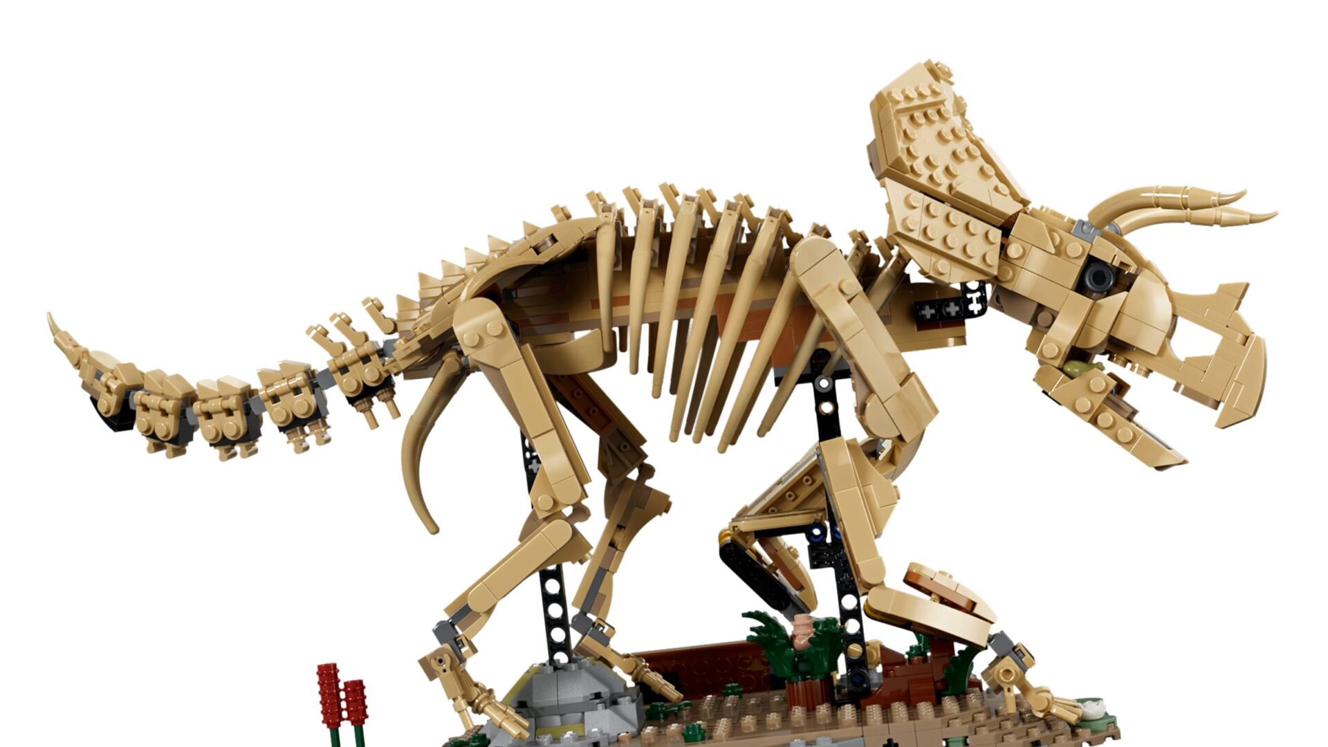 LEGO 77985 Dinosaurier-Fossilien: Triceratops – Bild 4