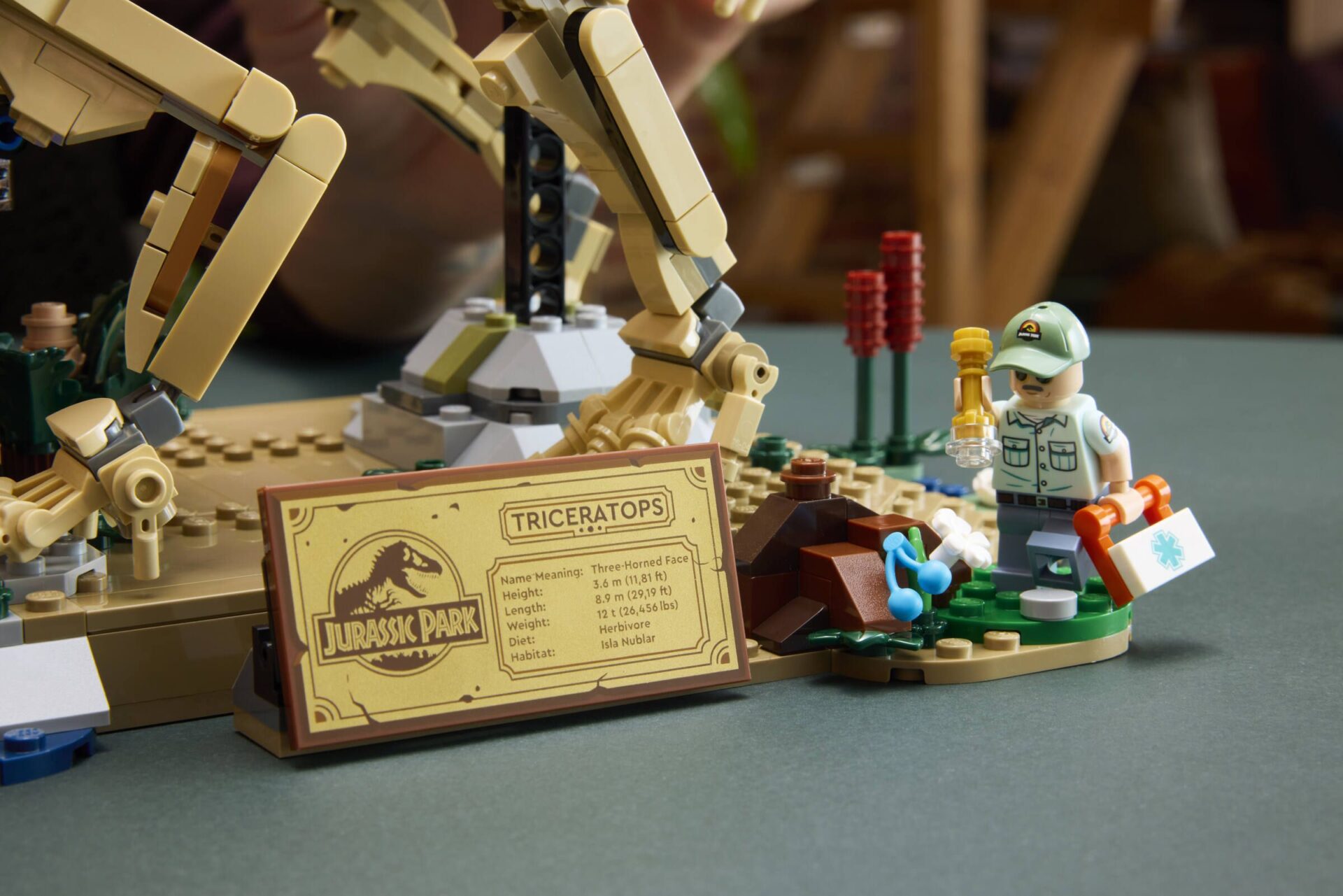 LEGO 77985 Dinosaurier-Fossilien: Triceratops – Bild 9